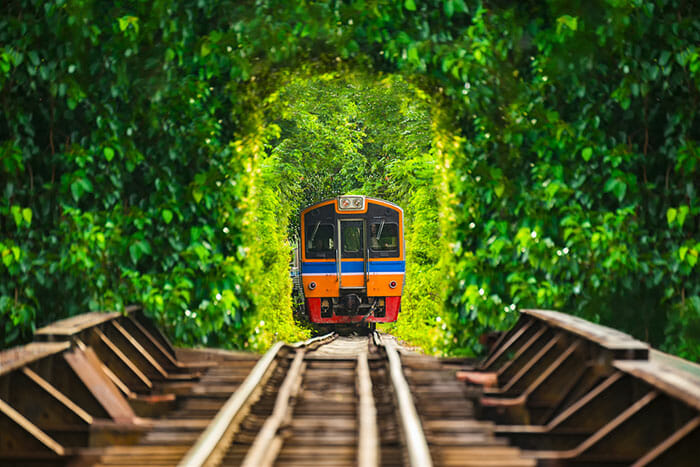 Train Bangkok to Chiang Mai